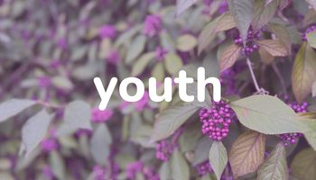 the word youth above a photo of fall foliage